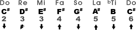 Mixolydian Scale in the Key of C#